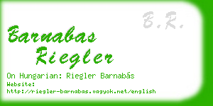 barnabas riegler business card